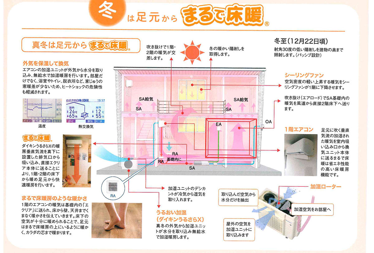 導入効果 冬